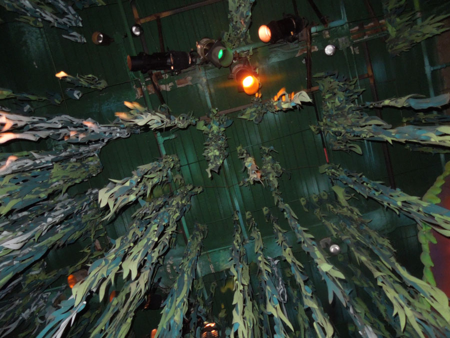 Disneyland Splash Mountain Ride Pictures